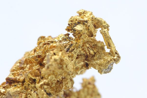Gold - Image 16