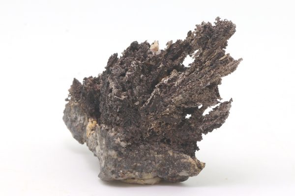 Silver - Image 4
