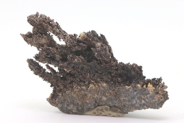 Silver - Image 6