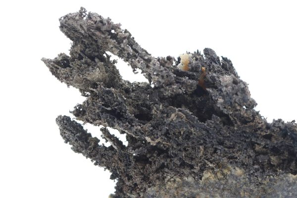 Silver - Image 7