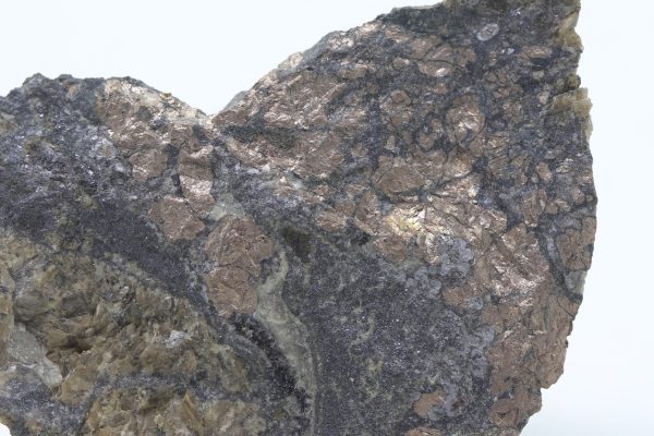 Nickeline - Image 7
