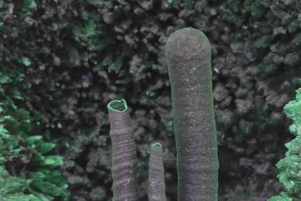 Malachite - Image 12