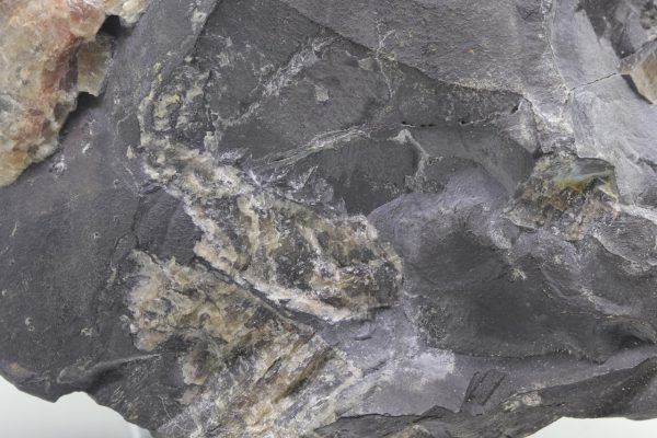 Arsenic - Image 9