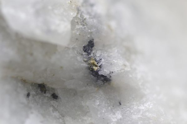 Gold - Image 6