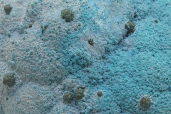 Chrysocolla, malachite - Image 7