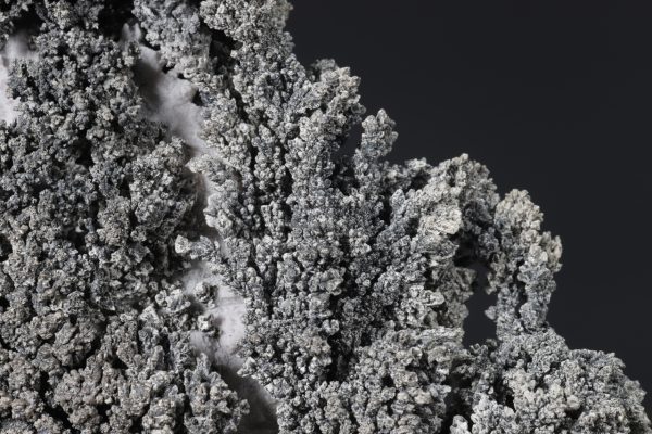 Silver - Image 15