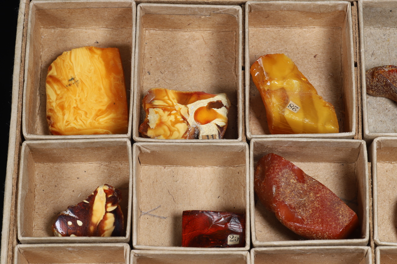 Amber with insects - Image 4