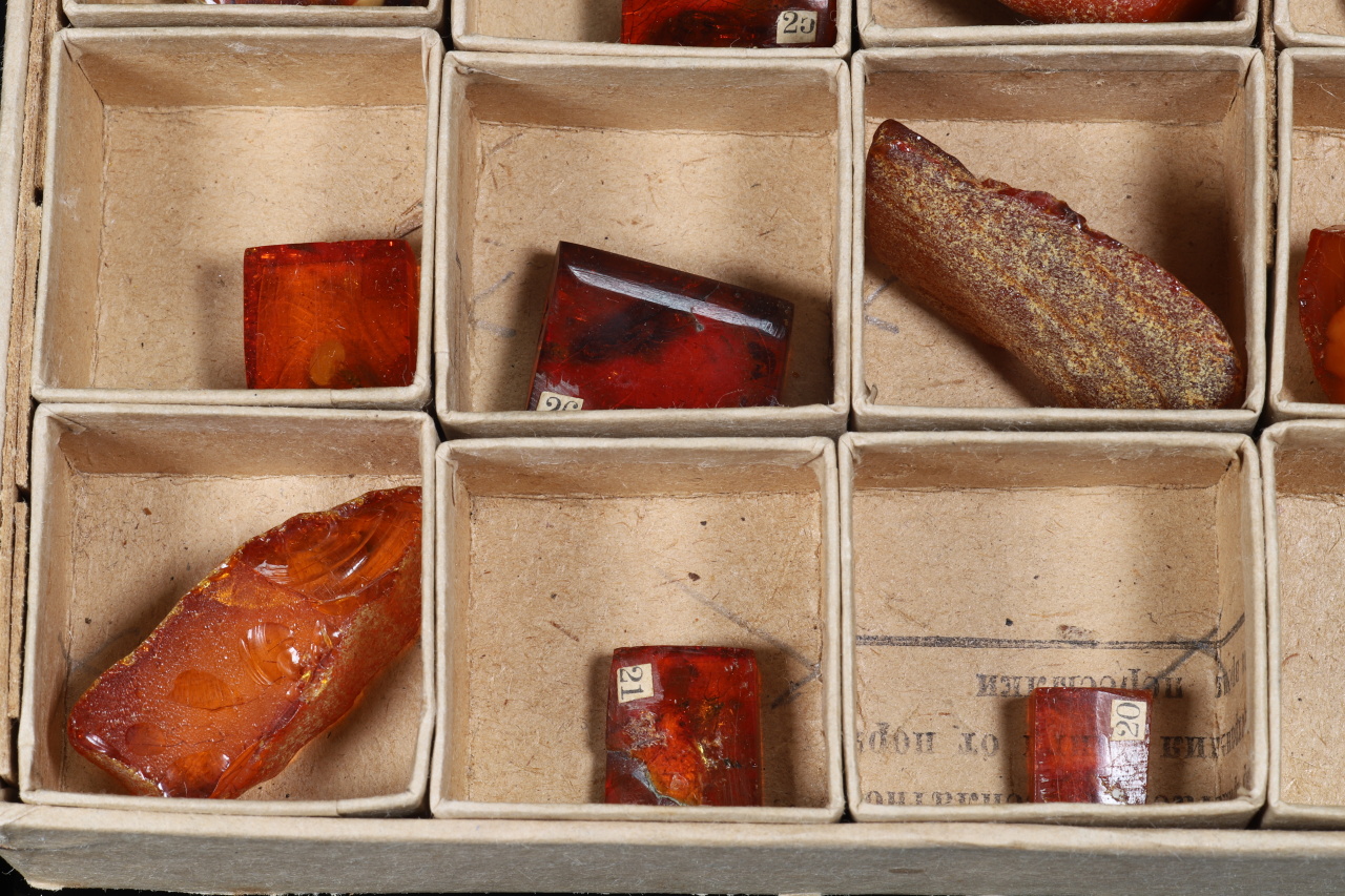 Amber with insects - Image 6