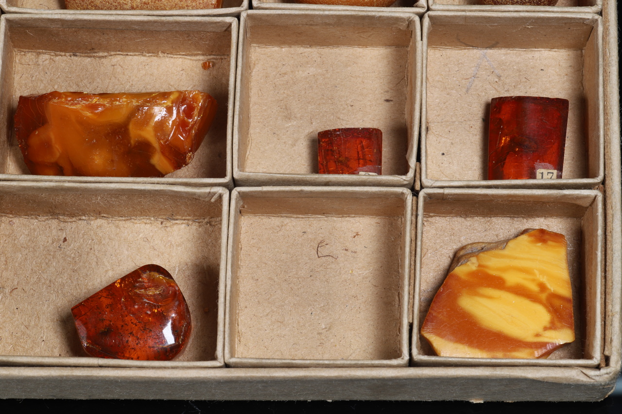 Amber with insects - Image 7