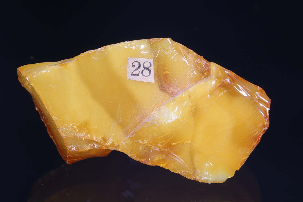 Amber with insects - Image 8