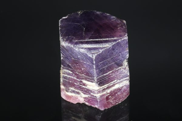 Ruby - Image 3