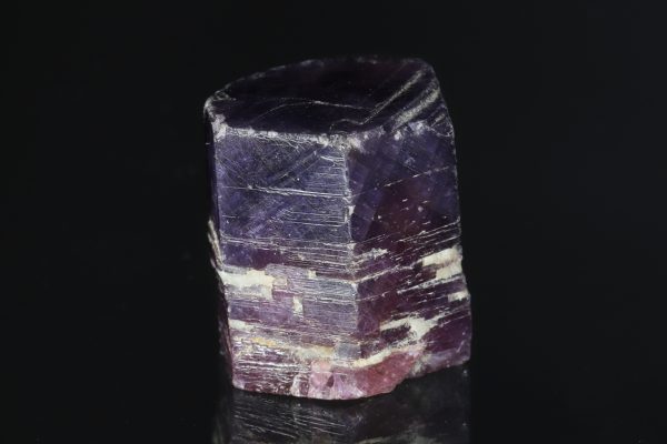 Ruby - Image 11