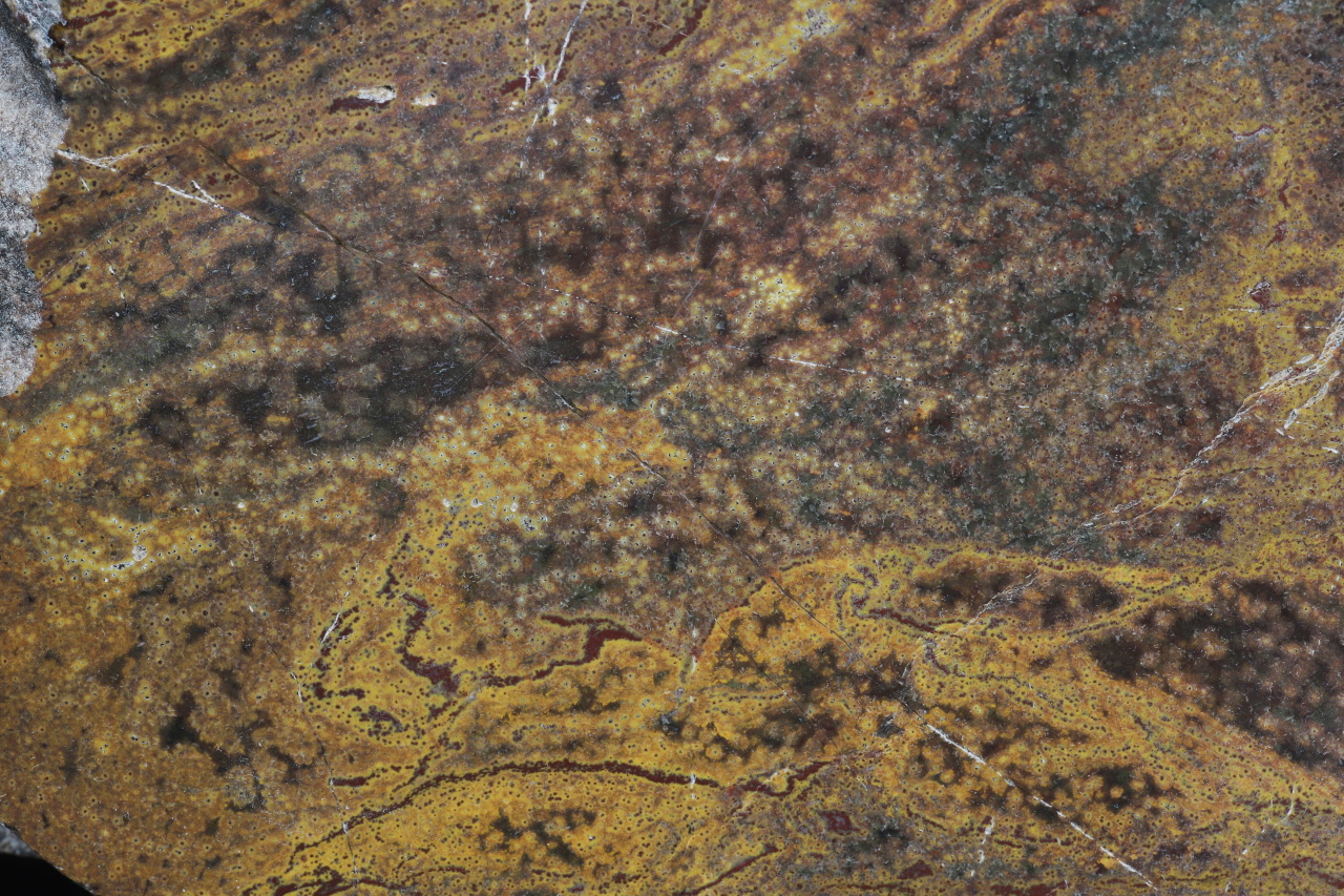 Ferruginous quartz - Image 3