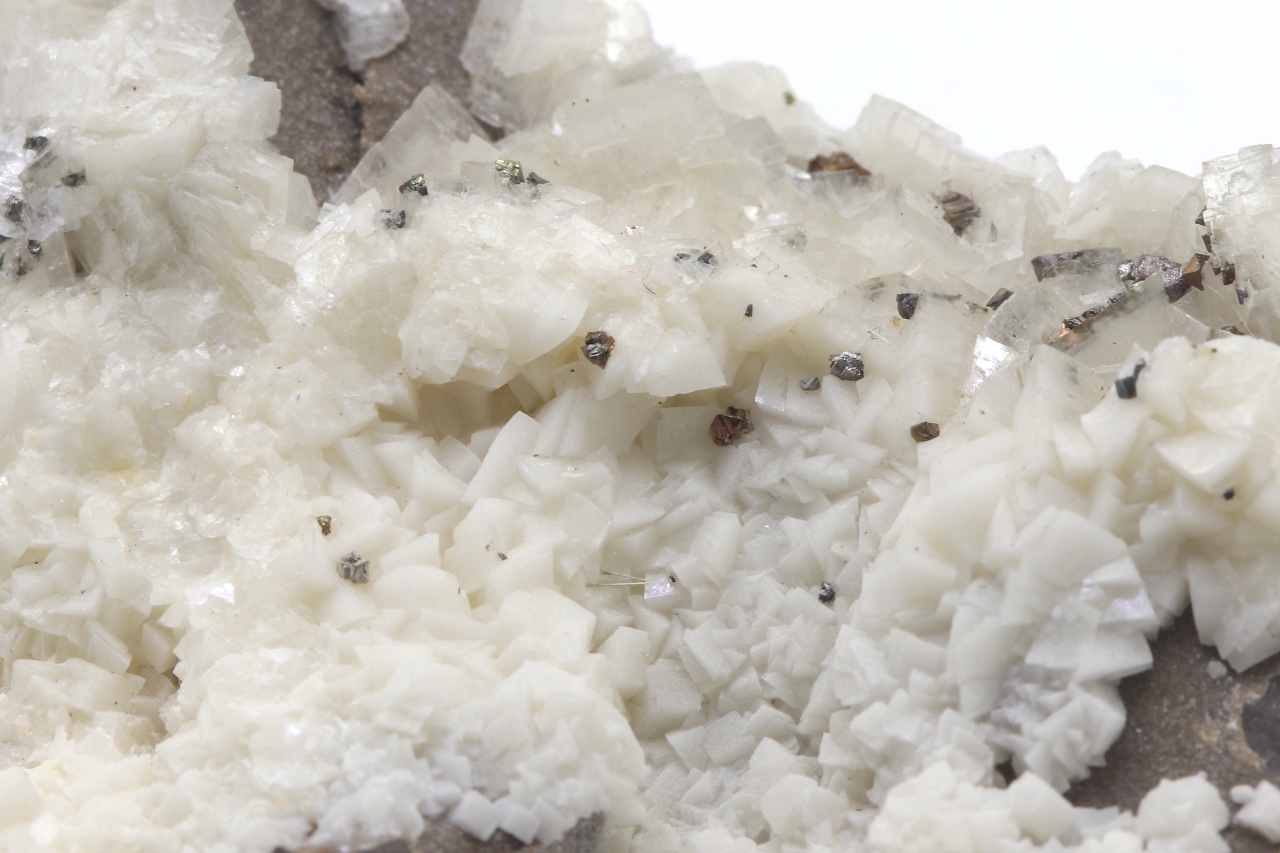 Whewellite - Image 5