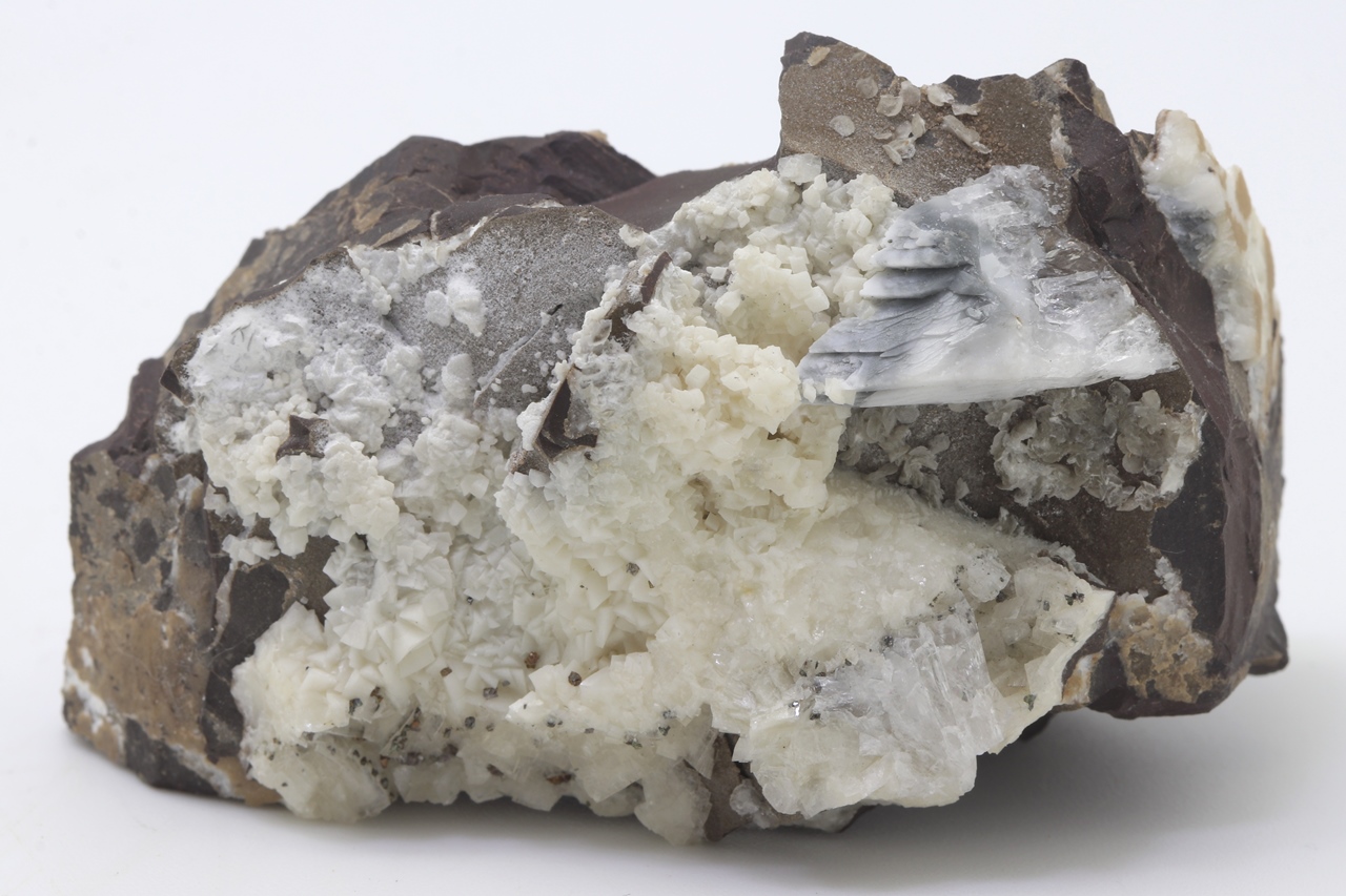 Whewellite