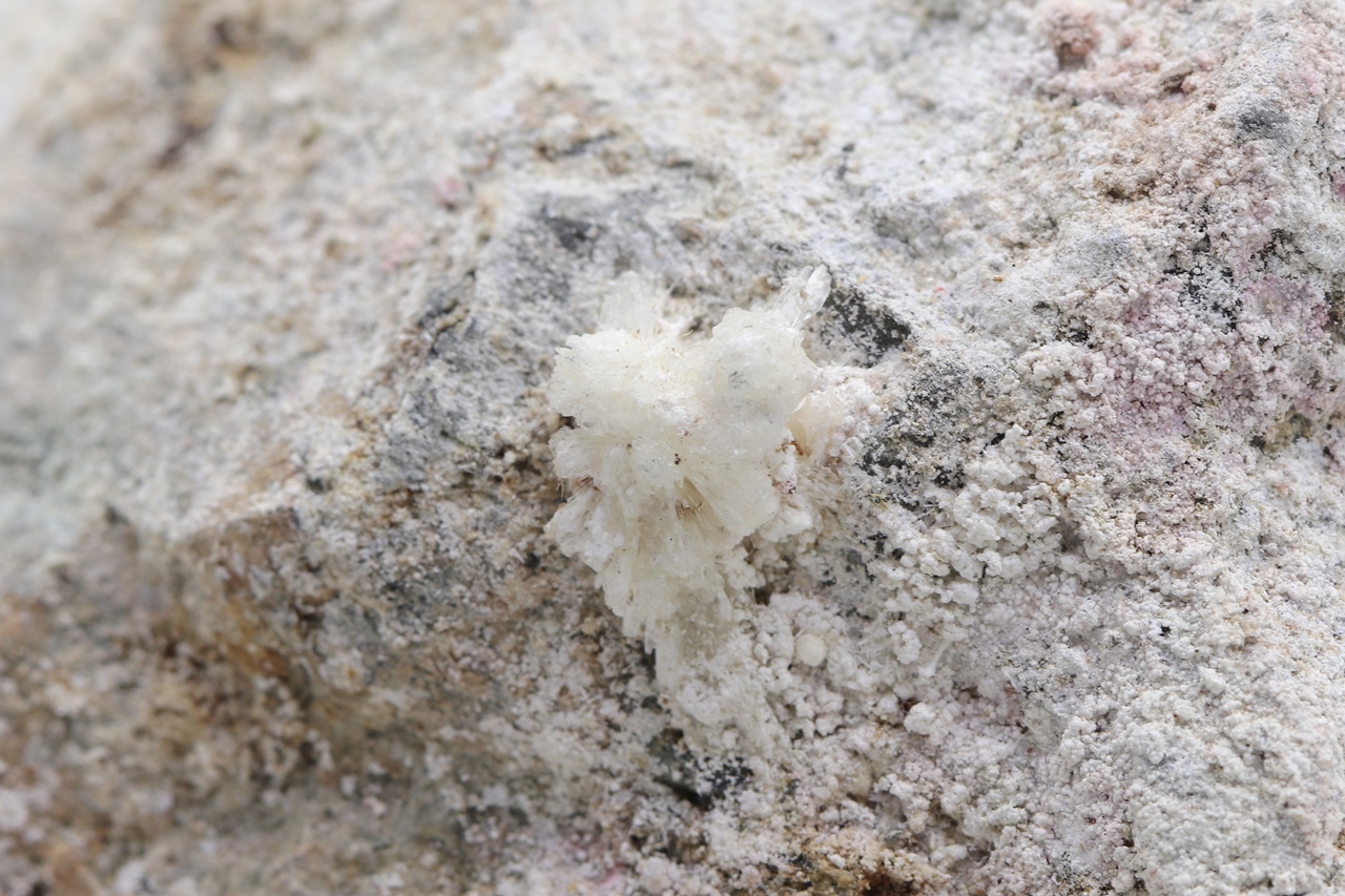 Pharmacosiderite. Pikropharmacosiderite, Brassite - Image 4