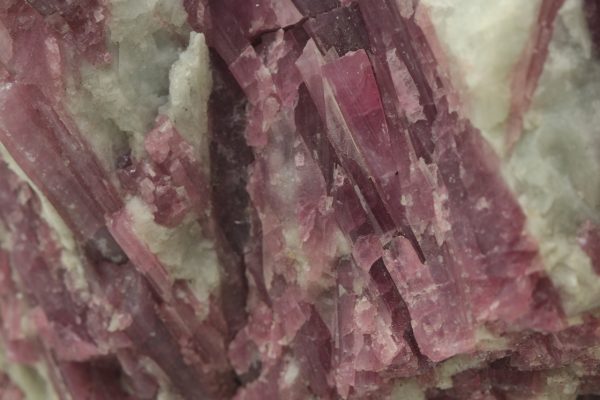Rubellite - Image 8