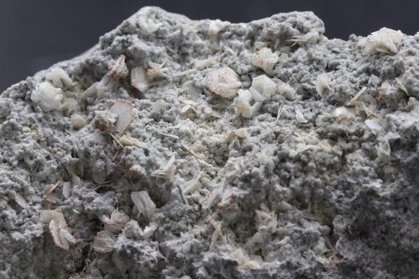 Tridymite - Image 2
