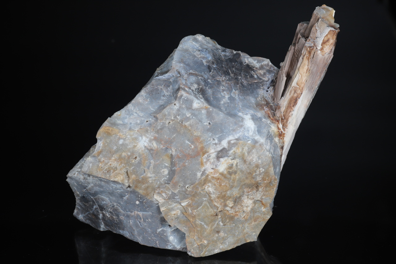 Opalized wood - Image 3