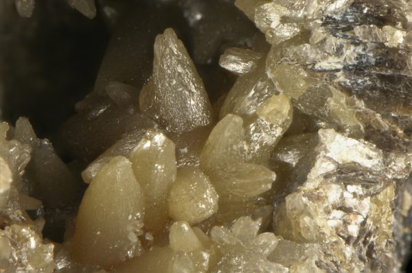 Stolzite - Image 9
