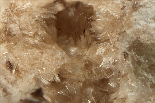 Zorite, raite - Image 3