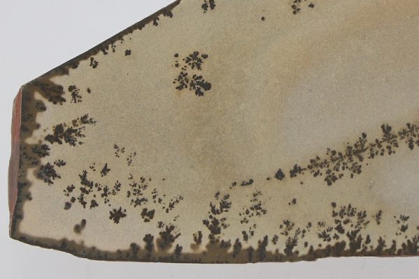 Porcelanite with dendrites - Image 2