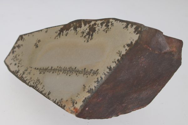 Porcelanite with dendrites - Image 3