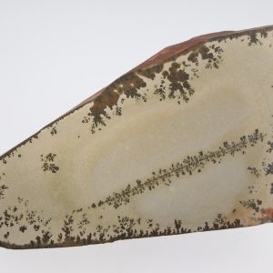 Porcelanite with dendrites