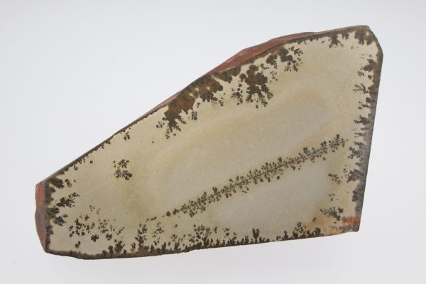 Porcelanite with dendrites