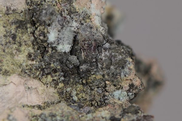 Parasymplesite - Image 5