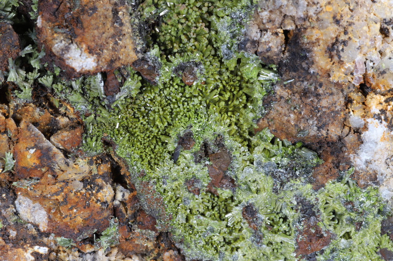 Pyromorphite - Image 4