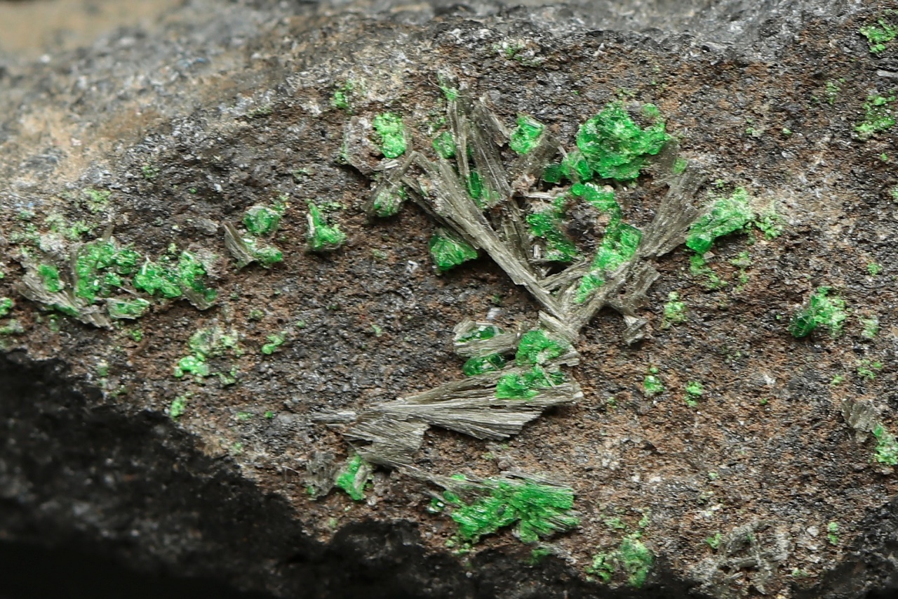 Shuiskite, uvarovite