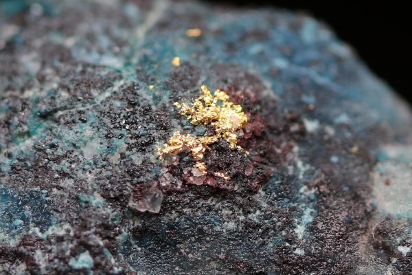 Gold - Image 6