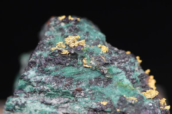 Gold - Image 6