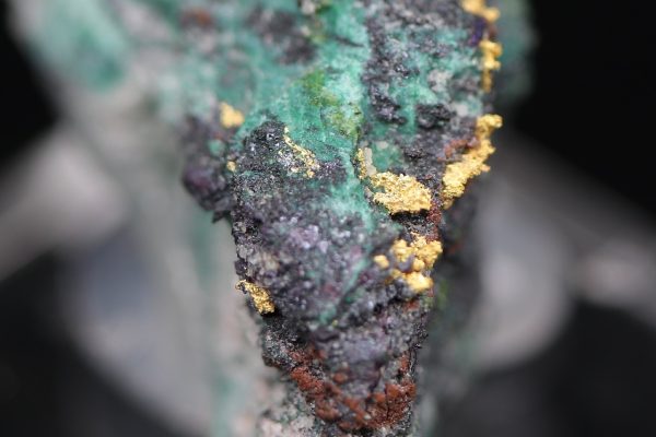 Gold - Image 7