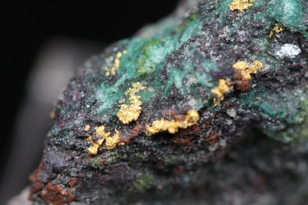 Gold - Image 8