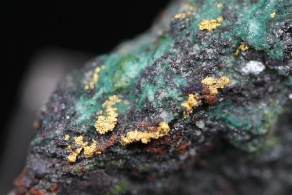 Gold - Image 9