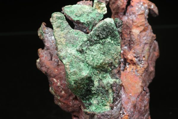 Copper - Image 11