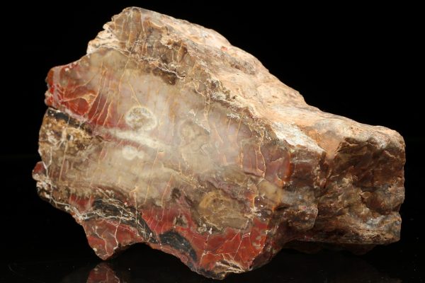 Jasper - Image 3