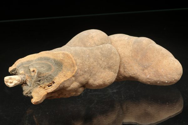 Aragonite