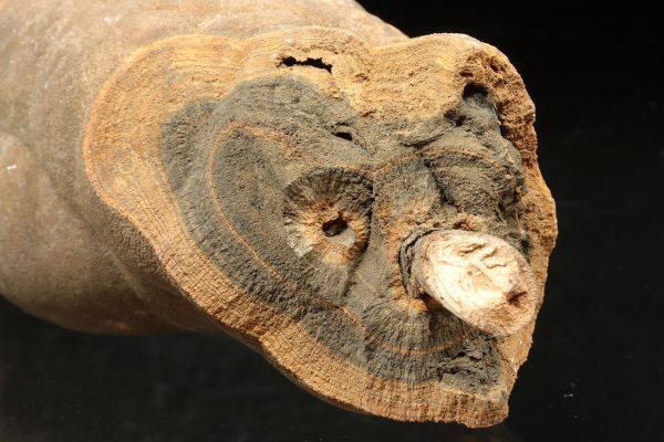 Aragonite - Image 4