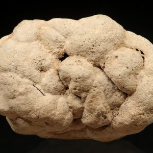 Calcite concretion