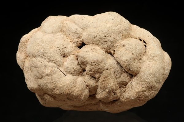 Calcite concretion