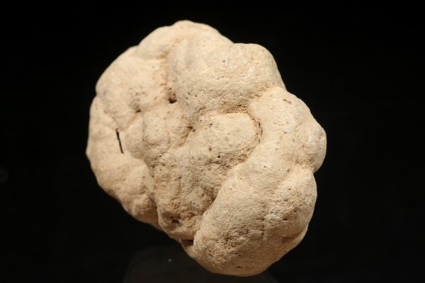 Calcite concretion - Image 3