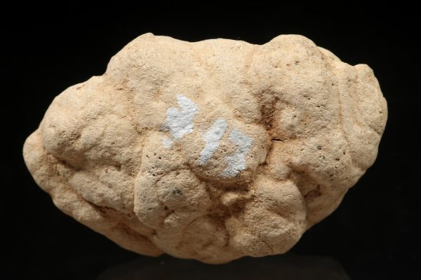 Calcite concretion - Image 4