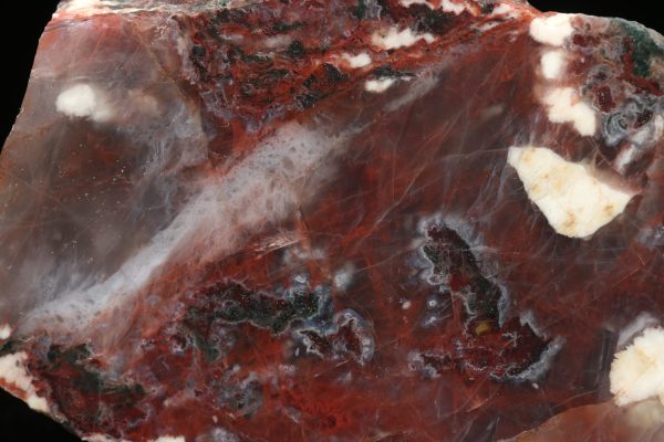 Jasper - Image 2