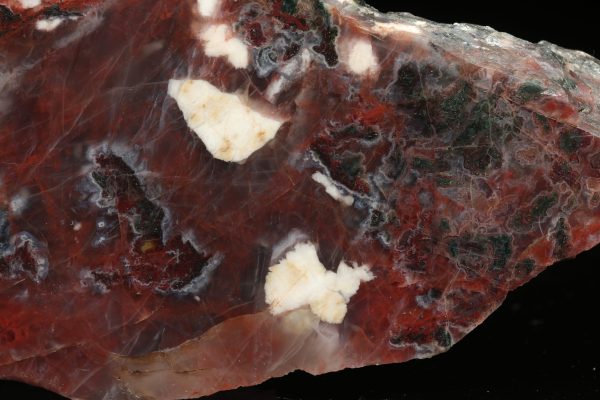 Jasper - Image 4