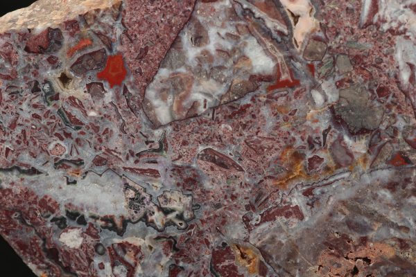Jasper - Image 4