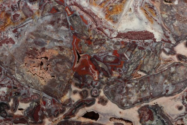 Jasper - Image 5