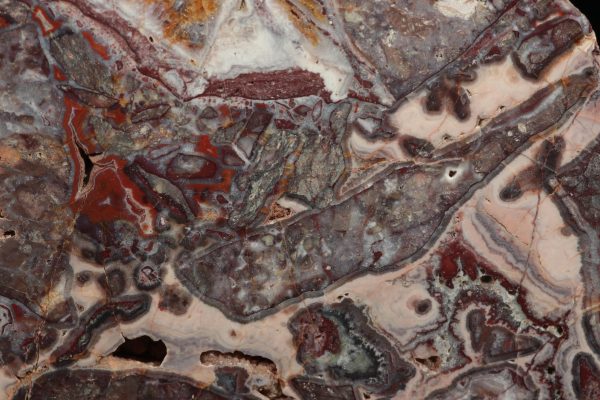 Jasper - Image 3
